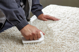 Stain Remover Carpet Guide