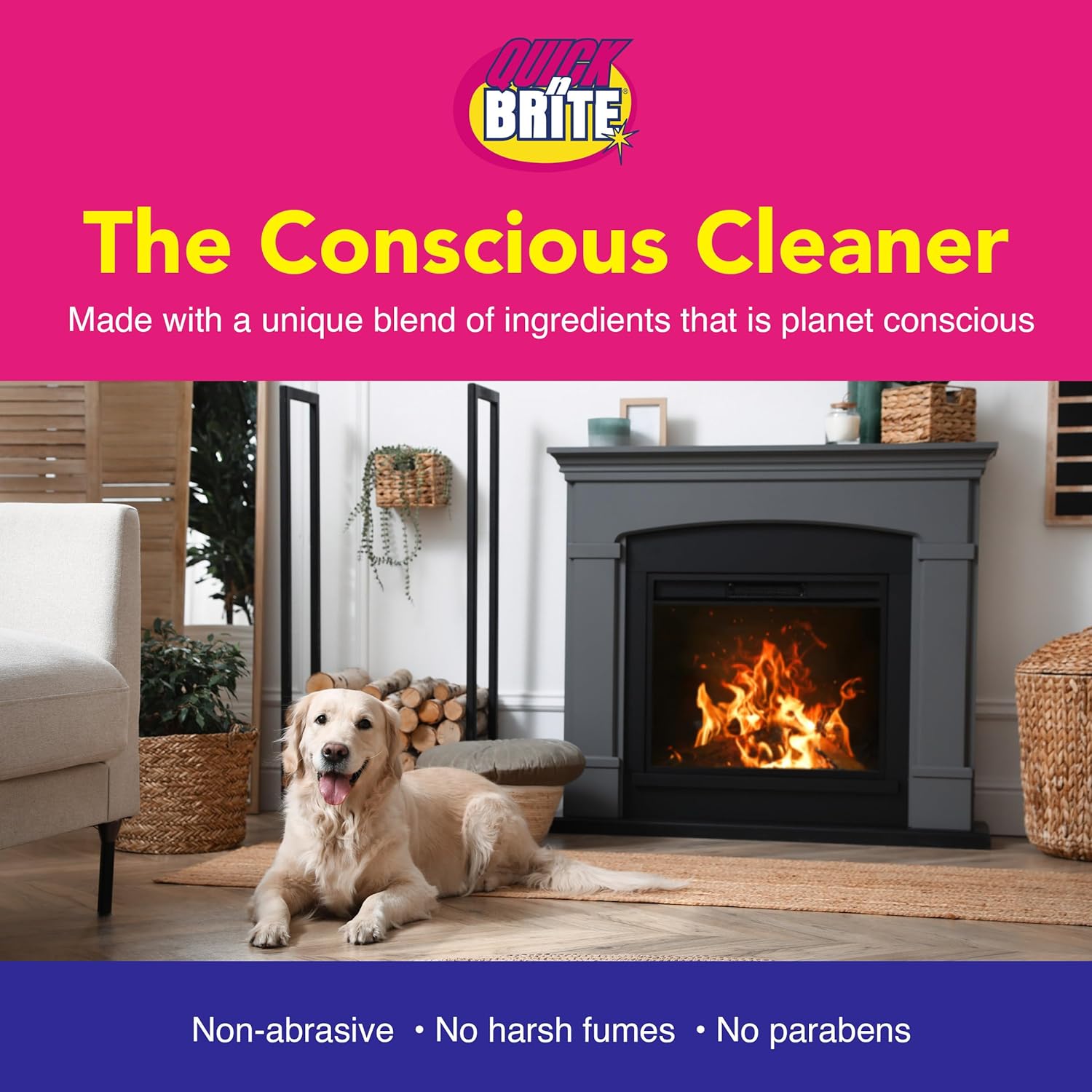 Quick N Brite Fireplace Glass Cleaner Kit with Cloth and Sponge, Removes Soot, Smoke, Creosote, and More, 24 oz, 1-Pack