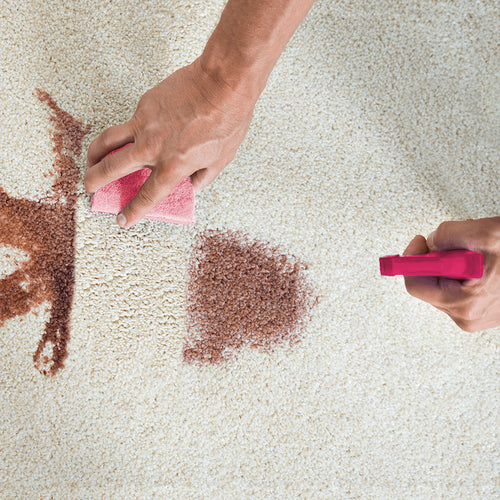 Quick’n Brite is the trusted leader in non-toxic cleaning products and earth-conscious cleaners. 